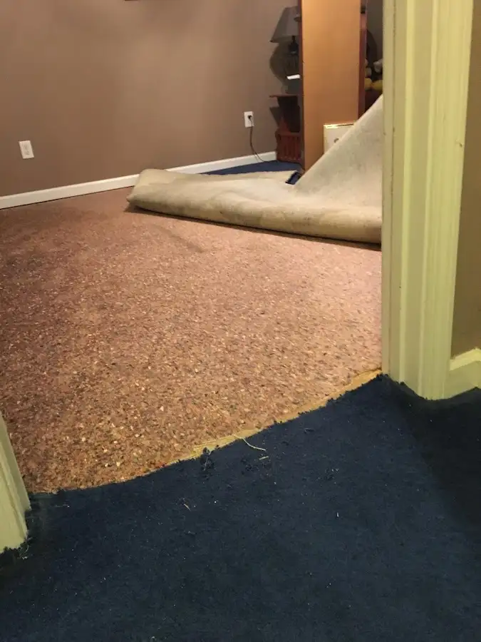 Carpet pad removal revealing water damage during Drying & Dehumidification in Belleview