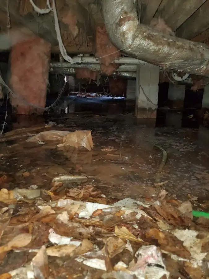 Crawl space flood assessment for Leak Detection & Repair in Belleview